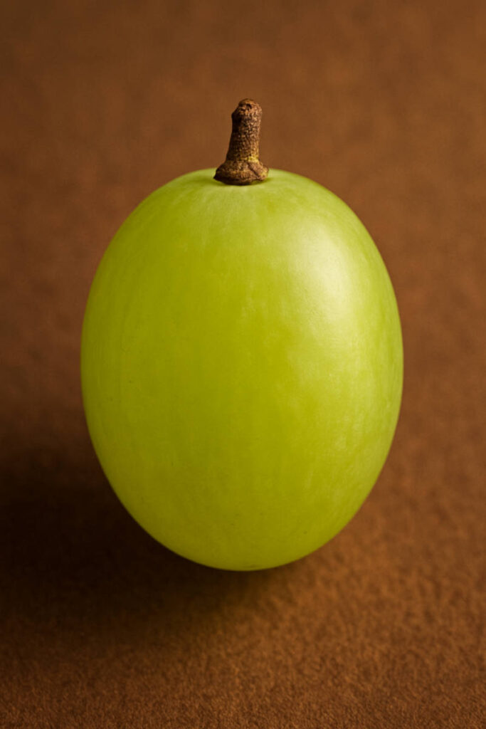 Gesang und Trauma, Marion Willmanns